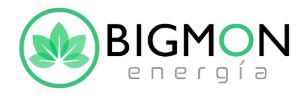 Logo Bigmon